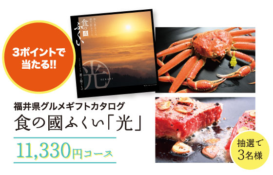 3ポイント 食の國ふくい「光」11,330円コース