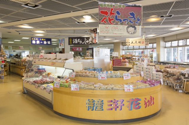  道の駅みくに ふれあいパーク三里浜 エリア