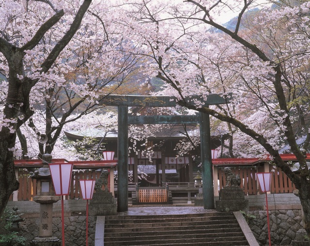  金ヶ崎 エリア