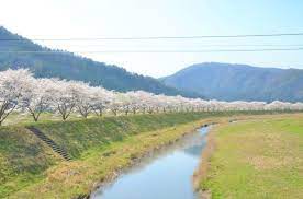  名田庄 エリア